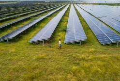 Регулятор установил "зеленые" тарифы на 2022 год