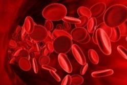 В мире таких всего четыре десятка: ученые нашли носителей «золотой» крови 