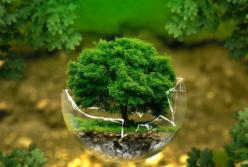 Сытой эпохе конец: только вегетарианство может спасти нашу планету