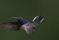 Ученые рассказали, что необходимо человеку для счастья