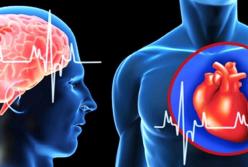 Врачи рассказали о первых признаках инфаркта и инсульта