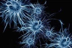 Ученые обнаружили в мозге людей “гены-зомби”