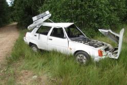 На Житомирщине пять человек пострадали в ДТП (фото)