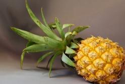 Назван лучший тропический плод для похудения