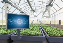 Роль штучного інтелекту в оптимізації агропромислового виробництва в Україні