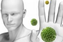 Названы способы укрепления иммунной системы 