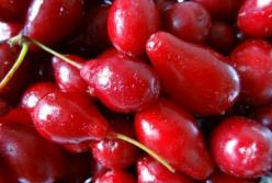 Врачи рассказали о пользе кизила для здоровья