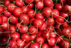 Медики назвали популярный корнеплод, который обеспечивает долголетие