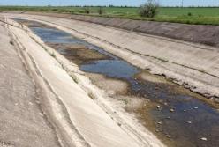 В Крыму начались молебны о дожде