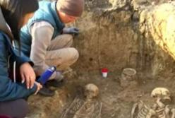 Археологи раскопали курган с драгоценностями и останками