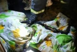 Во Львове горело студенческое общежитие, есть пострадавшие (фото, видео)