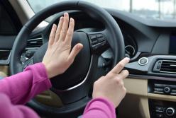 В Днепре женщина с ружьем вскрыла гараж и угнала автомобиль