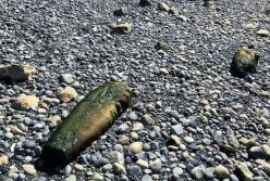 В Британской Колумбии нашли древний загадочный столб из камня 