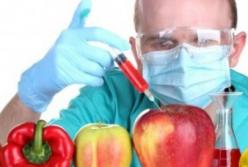 Как на самом деле ГМО влияет на здоровье