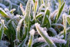 Заморозки до 5 градусов: синоптики дали неутешительный прогноз на июнь