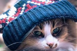 Прогноз погоды на 21 ноября: еще сильнее похолодает, сильный ветер (карта)