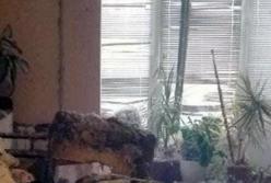 Странная гибель семьи волонтера в Курахово: многие не верят в «самоподрыв» (фото)