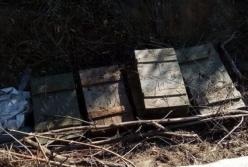 В оккупированном Донецке прогремели сразу два взрыва: детали ЧП