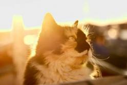 Прогноз погоды на 7 сентября: в Украину постепенно возвращается тепло