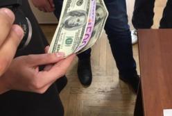 Главный налоговый ревизор Киева задержан с взяткой на рабочем месте