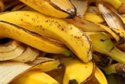Ученые нашли новое применение банановой кожуре