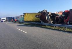 В Болгарии в ДТП попали 20 грузовиков, есть жертвы (фото)