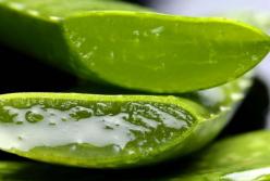 Медики назвали растение, которое ускоряет рост волос