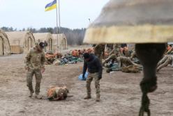 Женщина-военный впервые прошла жесткий отбор квалифкурса Сил специальных операций