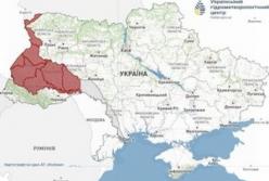 Попередження про критичне зниження рівня води в річках України: очікується маловоддя до 15-25 серпня