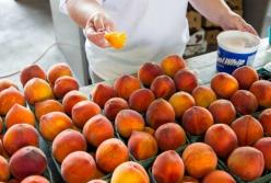 Медики назвали малоизвестные и полезные свойства персиков