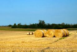 Мораторий на продажу земли снимут до конца года