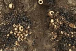 Сотни драгоценностей: в Корее нашли гробницу молодой принцессы (фото)