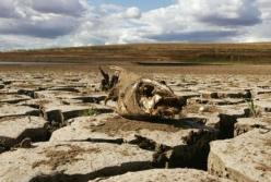 Поставку воды в Крым не возобновят до деоккупации