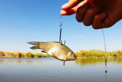 Британские ученные рассказали, чем опасна рыбалка для здоровья