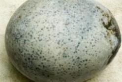 Археологи во время раскопок случайно разбили три 1700-летних яйца