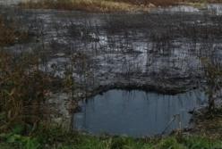 В Киеве мужчина застрял в болоте, пришлось вызывать спасателей