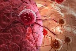 Ученые обнаружили природное лекарство от рака