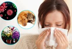 Чем опасна аллергия