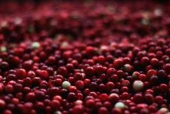 Медики назвали простые средства для повышения иммунитета