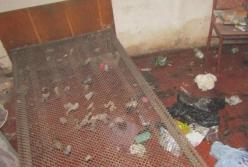 Под Киевом мужчина поджег свою жену (фото)