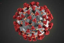 «Кокаин не помогает»: ВОЗ отвергла распространённые слухи о борьбе с коронавирусом