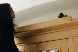 Сальма Хайек пыталась прогнать нежданную гостью из своего особняка (видео)