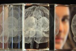 Ученые научились "стирать" из памяти неприятные воспоминания