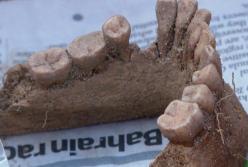 В Британии нашли древнее захоронение, связанное с загадочным ритуалом (фото)