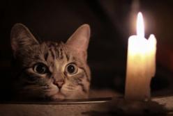 Блекаути б’ють по кишенях українців: що буде з цінами на продукти далі  