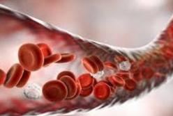 Названы продукты, которые защитят от тромбозов