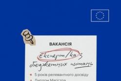Делегація ЄС в Україні шукає експерта з бюджетних питань: деталі вакансії
