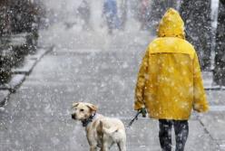 Прогноз погоды на 4 января: ожидаются мокрый снег и дождь