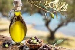 Названы целебные свойства оливкового масла