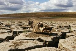 Назревает катастрофа: в Крыму пересохли реки из-за засухи